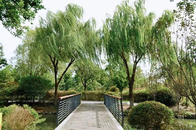 四季流转，青浦这座公园的颜值从来不掉线！