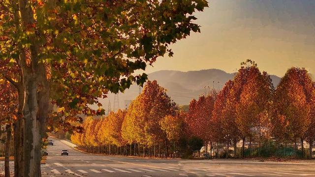 解锁郧西县“醉美”秋景