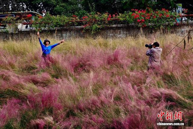 福州乌龙江湿地公园冬季美景引游人