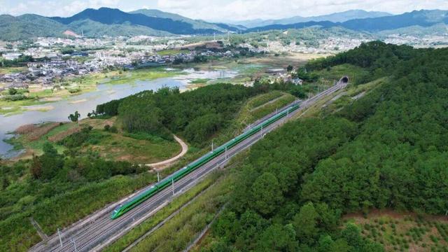去勐海品茶，这条线路超火