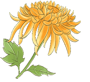 滴！重阳暖心免票福利→这张秋日『头等舱』车票请签收！