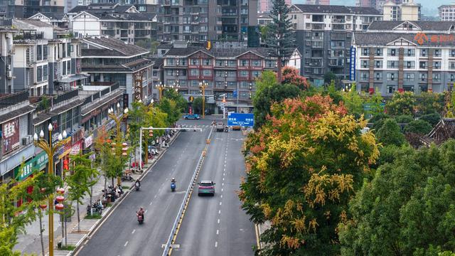 组图丨通道：栾树花开秋意浓