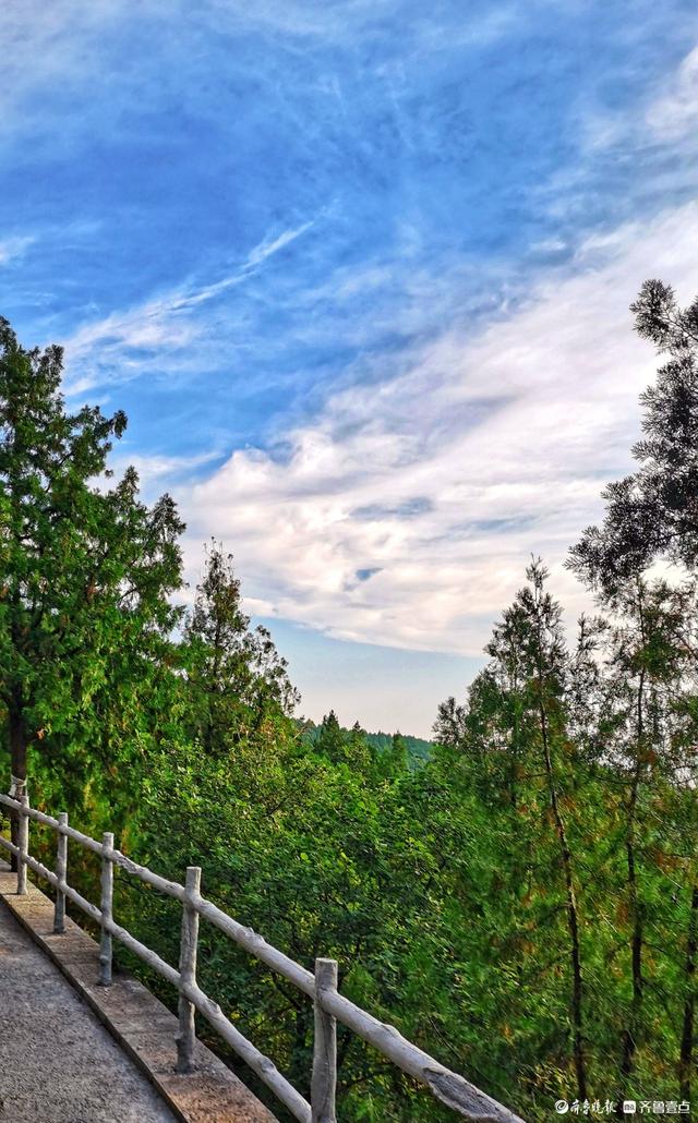 秋韵美景，蓝天白云下的济南英雄山