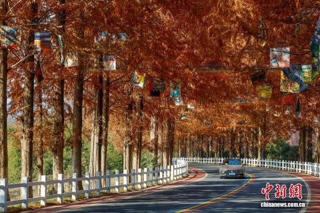 安徽休宁：冬韵铺展“艺术公路” 人车穿行入画来