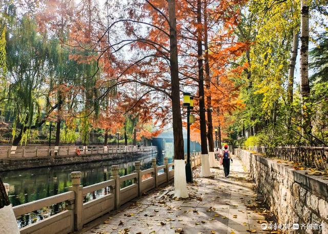 济南青龙桥护城河畔，美景随手拈来