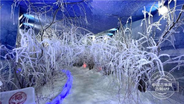 解锁双城玩法，不负雪假好时光