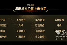 卓尔集团获评2024年度“卓越价值上市公司”图片