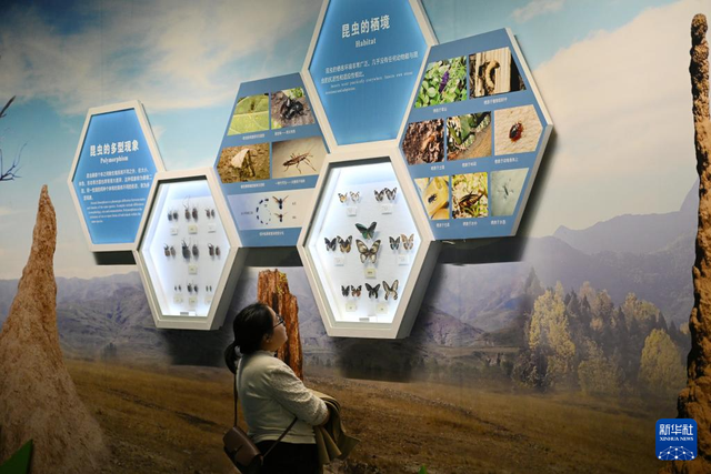 校馆弦歌·新华图库丨走进西北农林科技大学博览园