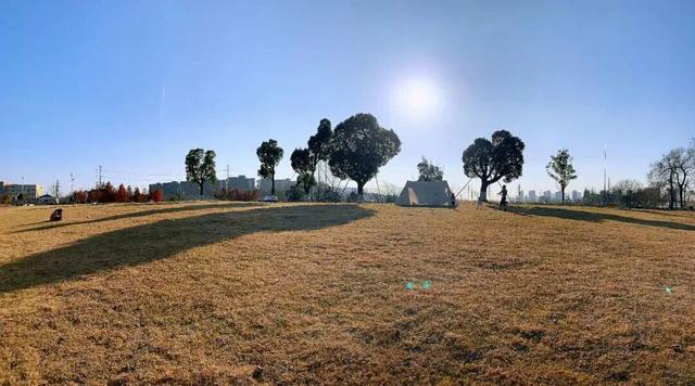 四季流转，青浦这座公园的颜值从来不掉线！