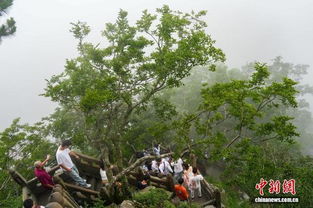 海外华裔青少年登顶武当山享清凉
