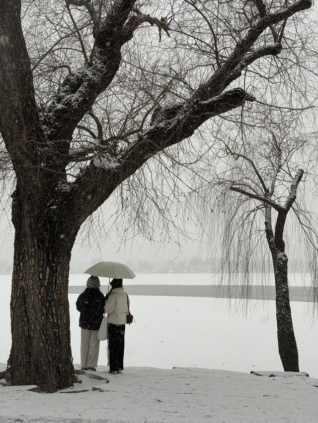 京城初雪如约而至！雪落无声，人游有影