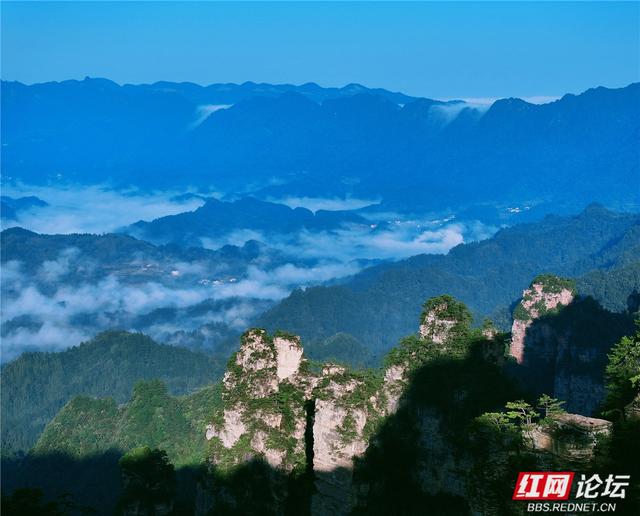 【每日一图@湖南】在杨家界的秋日云海里，遇见最灵动的中国画