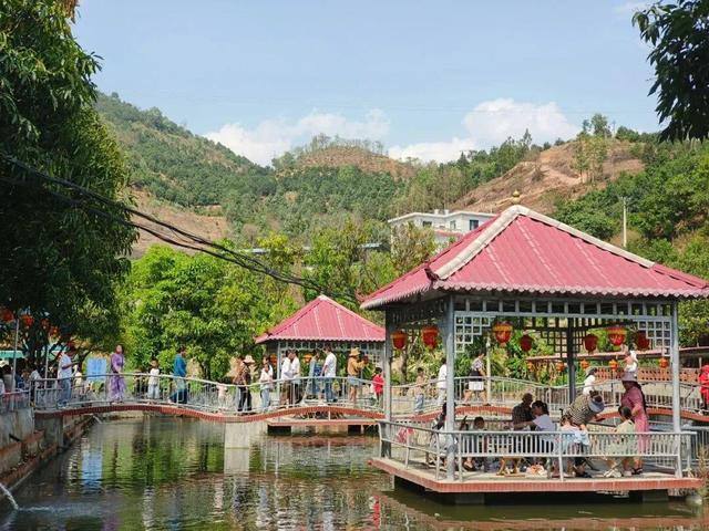 在茶园里发呆，在酒谷里听故事…旅居云县，静享慢时光
