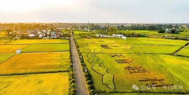 月是蜀州明 | 国庆中秋假期，来崇州跟着月亮旅游