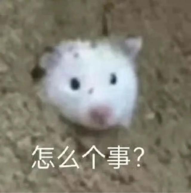 机器人刚打扫完家务，我说：“再去给我炒俩菜”