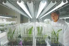 五个图强 向新求质图片