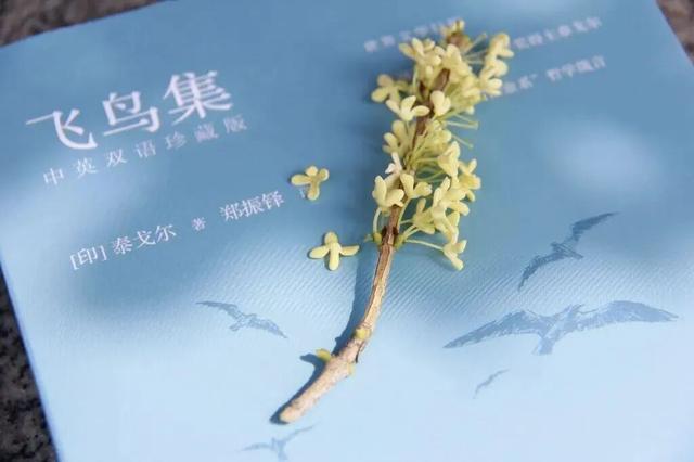 荆州风景地图：从古城墙到浅山，解锁5处限定美色