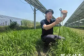 小伙放弃百万年薪回乡做“新农人”：年轻人就要敢想敢干图片