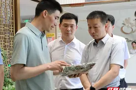 岳阳市君山区考察团到新田考察现代设施农业图片