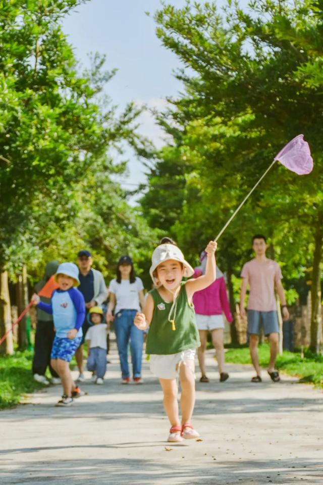 是时候回村了！来南宁共享田园慢生活，共赏万亩灯海