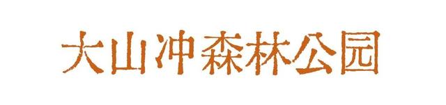 接下来的星沙也太好拍了吧！