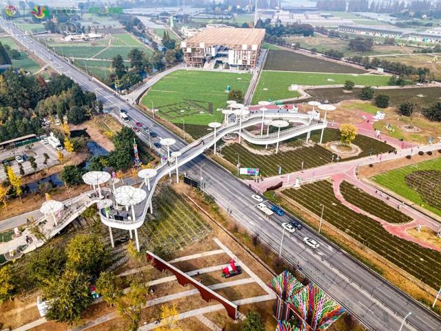 在彭州来一场“蔬式”的乡村漫游，遛娃不费妈，躺平超解压