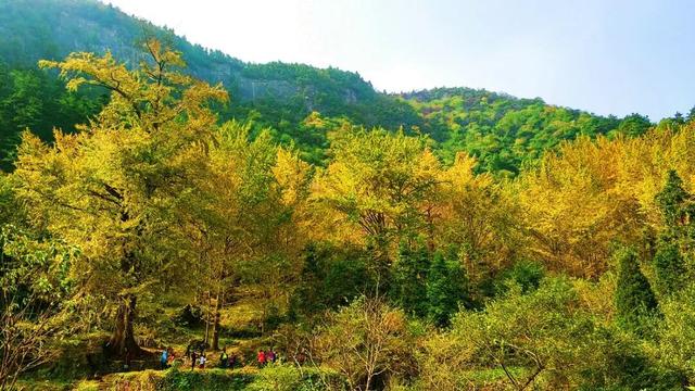 去荆门，撞进秋天怀里！