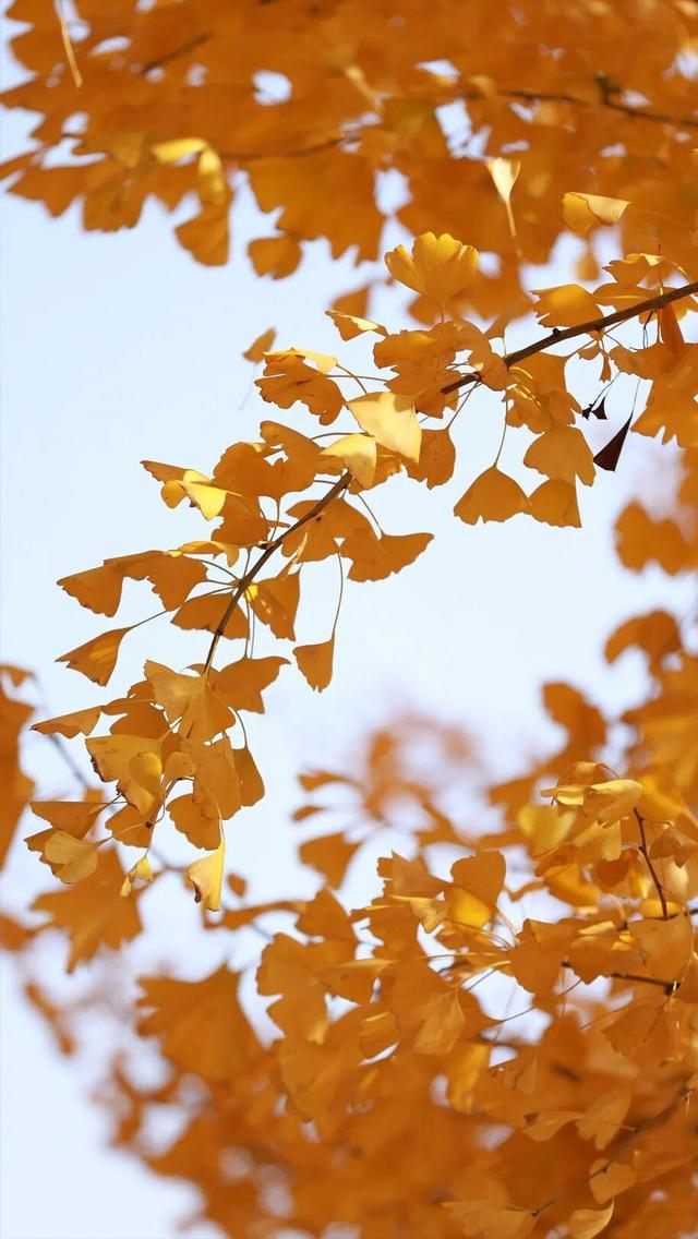 娄底：藏不住的诗意冬景，每帧都美到“心巴”上～