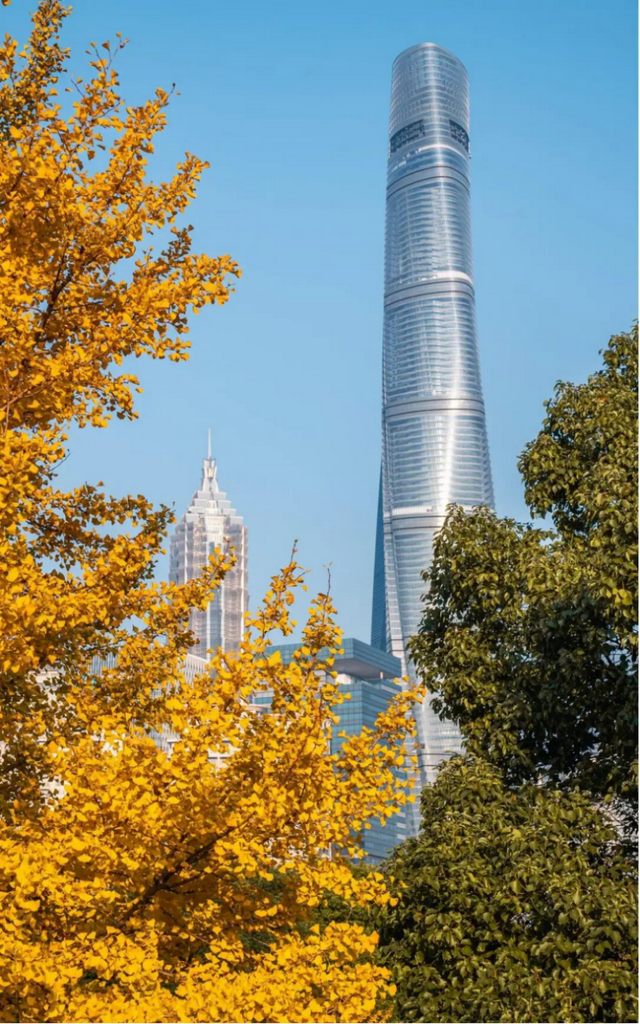 上海市中心又一公园拆除围墙！内藏明城墙和宝藏机位！怎么还有个“灶披间”？