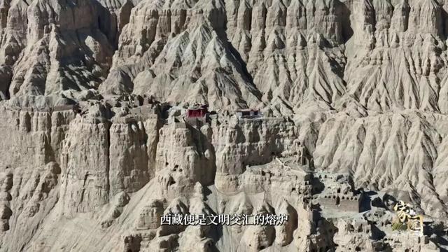在西藏，有一棵“团结树”
