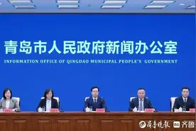青岛推出土地规划保障15条措施，高质量项目建设推动高质量发展图片