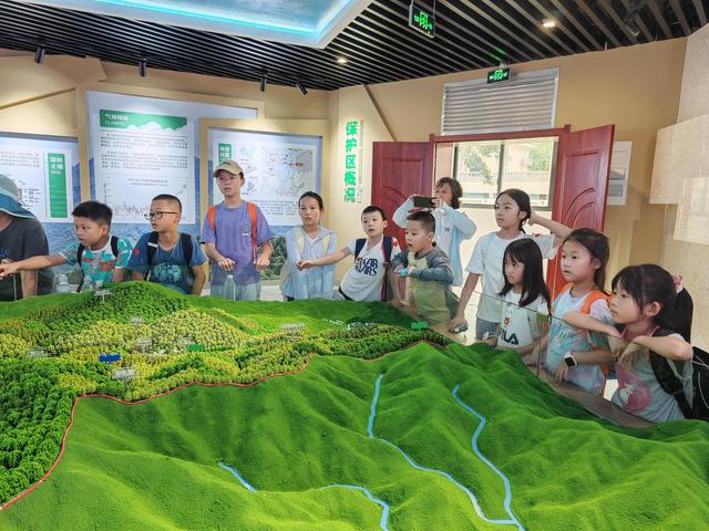 体验自然“活课堂”，韶关武江这场研学科普之旅让暑假“野”有趣！