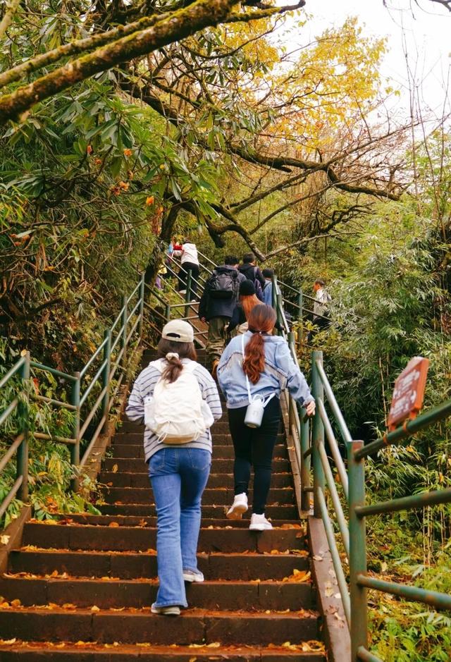 全球出圈‼️双奖加身‼️厉害了瓦屋山！