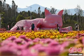 昆明莫奈花园春景如画醉游人图片