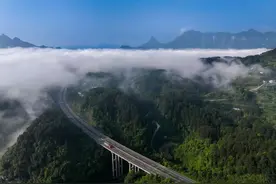 高速公路拥堵，怎么解？图片