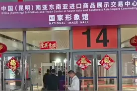 第8届南博会｜精彩纷呈！走，跟着开屏新闻“云”逛展图片