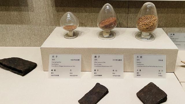 西晋壁画墓和敦煌博物馆：藻井上的那朵莲花丨从长安到敦煌（7）