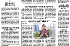 高原小城盛开“就业花”图片