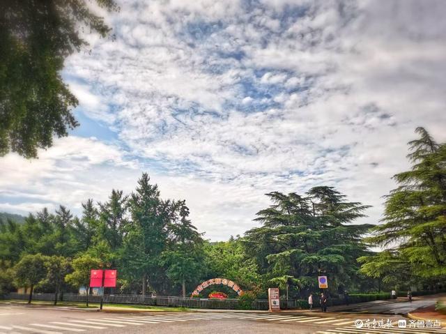 一夜雨后，英雄山风景区清新自然
