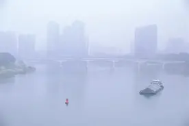 升温→回南→降雨，本周南宁的天气像坐过山车……图片