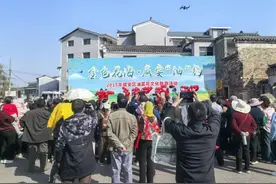 湖北咸安：万人“赶花集”！马桥开启油菜花狂欢季图片