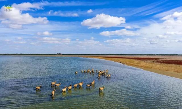 抓紧出发！错过就要等明年！