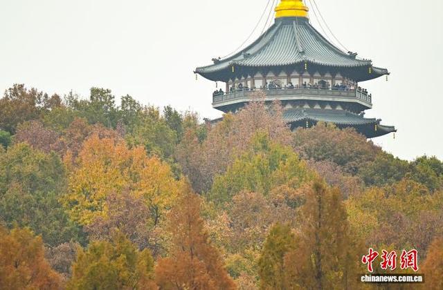 江南冬日 杭州西湖林木斑斓景色迷人