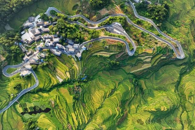 “十四五”答卷③丨接待游客1.58亿人次，同比增长126.8%，“十四五”酉阳文旅势头强劲