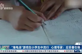 “海龟汤”游戏在小学生中流行 心理专家：应妥善引导