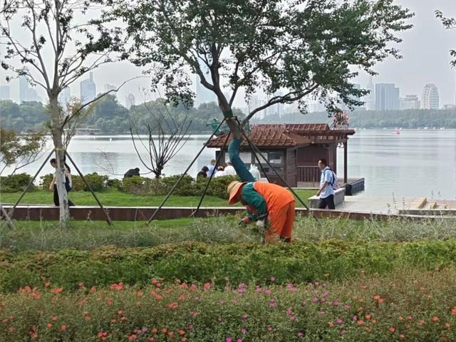 这个假期，南京温度刚刚好！