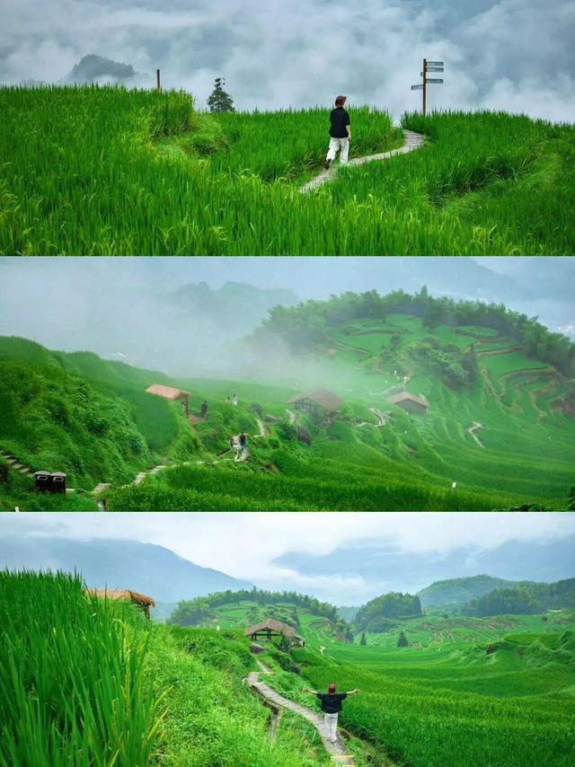 凭教师证解锁“0元畅玩”，浙江多景区推出教师节专属福利