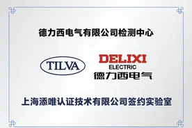 行业首家！嘉定企业检测中心获绿色认证图片