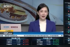 多家教育公司拥抱DeepSeek AI教育产品商业化落地加速丨行业风口视频封面
