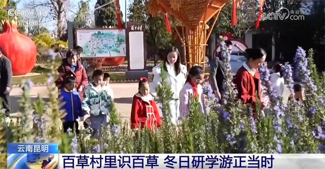 室内游升温、研学游正当时 文旅“热”让“冬日经济”多点开花、活力迸发